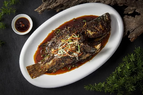 hoc-lam-ca-mu-hap-tau-xi học làm cá mú hấp tàu xì