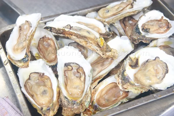 hoc-lam-hau-song-xot-wasabi học làm hàu sống xốt wasabi