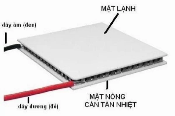 cấu tạo của sò nóng lạnh