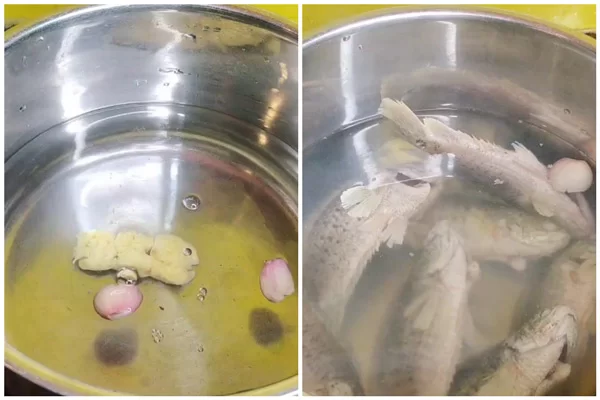 Ngâm cá trong nước đun sôi với gừng
