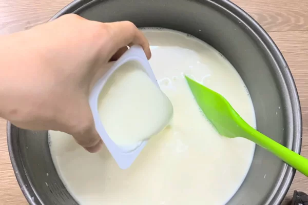 Trộn hỗn hợp với sữa chua cái