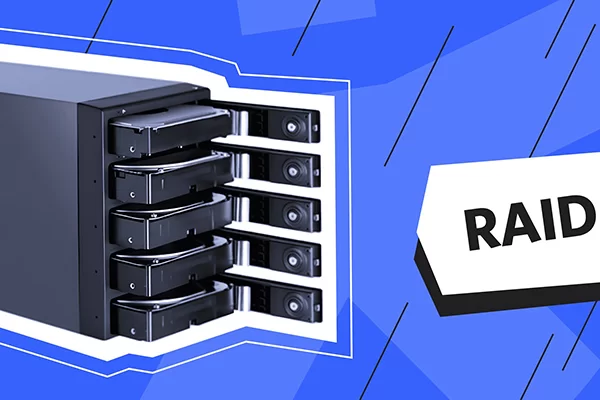 raid là gì