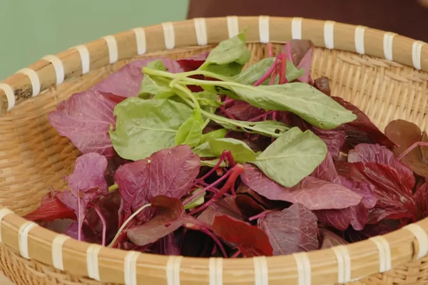 Bo phan la cuong gia la dap heo