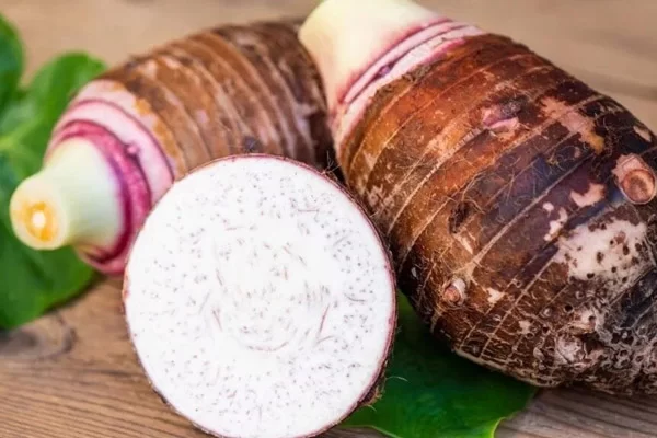 Không cần chọn củ khoai môn quá to