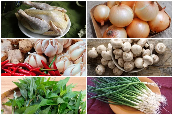 Nguyên liệu chính làm gỏi gà xé phay