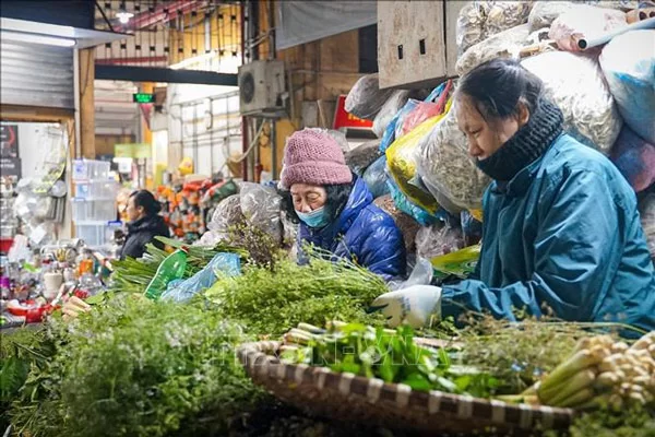 Chi phí mua nguyên vật liệu bánh canh