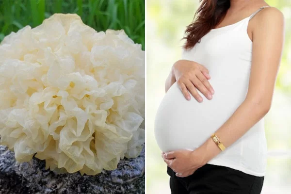 Bà Bầu Ăn Nấm Tuyết Được Không?