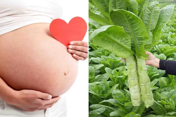 Bà bầu có ăn được rau tiến vua không
