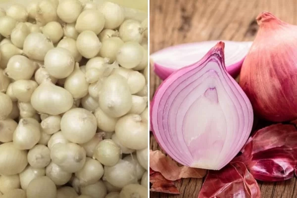 Củ Nén Khác Gì Hành Tím?