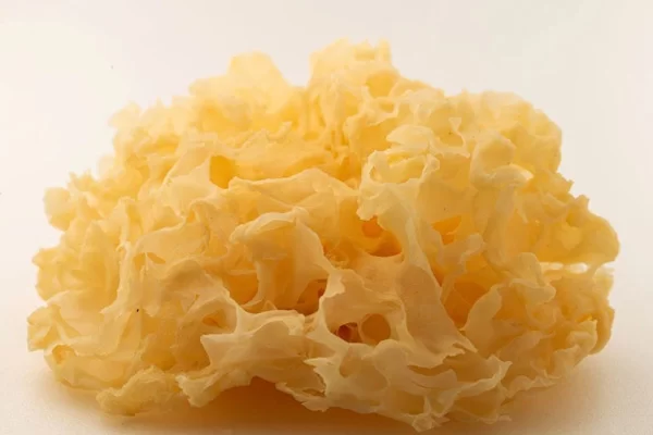 Giá Trị Dinh Dưỡng Của Nấm Tuyết