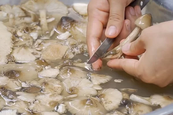 Cách Sơ Chế Nấm Mối Đơn Giản