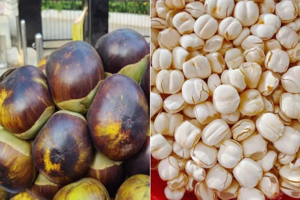 Cách Bổ Quả Thốt Nốt Tươi