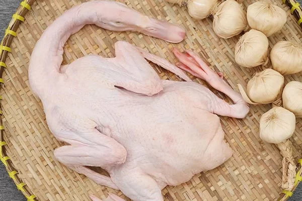 Cách Chọn Mua Vịt Tươi