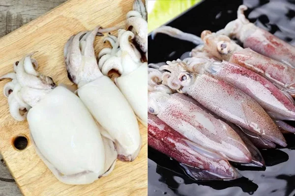 Cách Phân Biệt Mực Nang