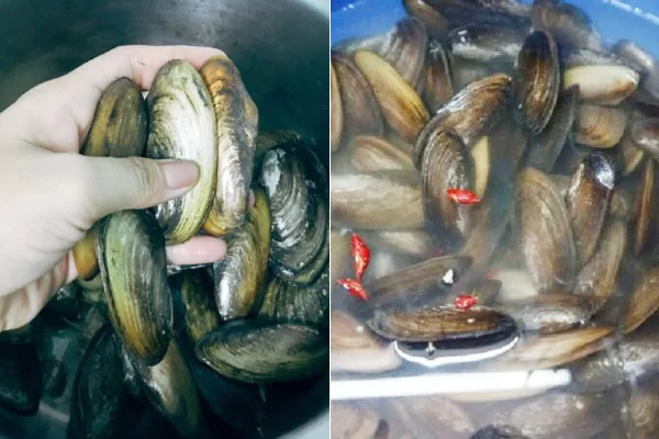 Cách Sơ Chế Chem Chép