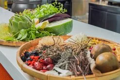 hình ảnh chuyên đề khóa học sâm dinh dưỡng 09