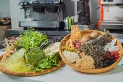 hình ảnh chuyên đề khóa học sâm dinh dưỡng 10