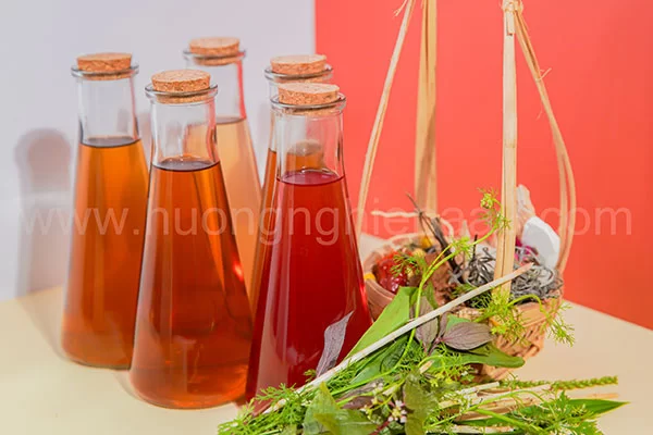 hinh-anh-khoa-hoc-sam-dinh-duong-13 hình ảnh chuyên đề khóa học sâm dinh dưỡng 13