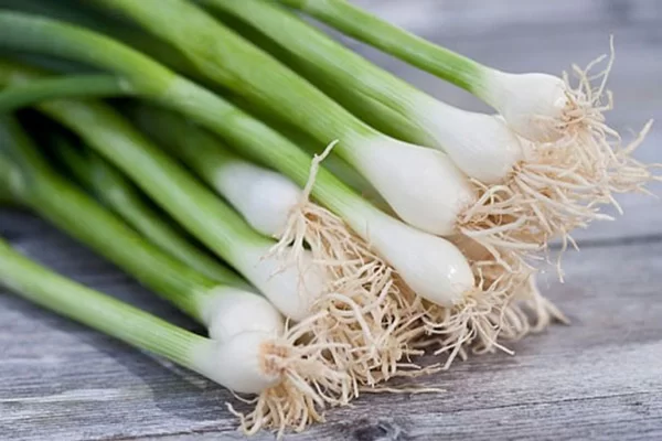 Bí Quyết Chọn Hành Lá Tươi Ngon