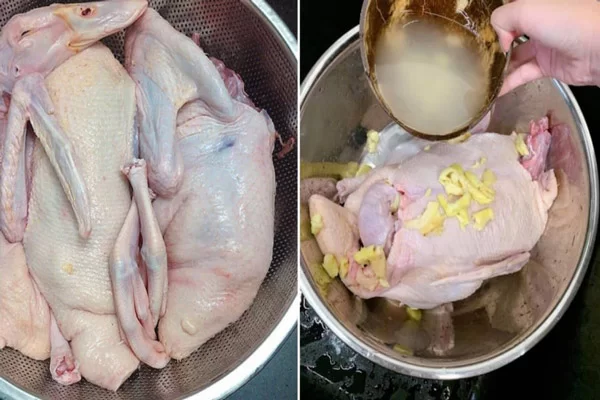 Bí Quyết Để Sơ Chế Ngan Không Hôi Là Gì