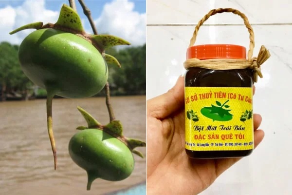 Mứt Bần Miền Tây