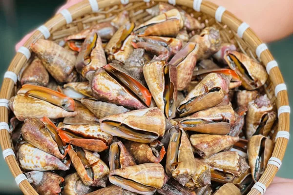 Những Lưu Ý Khi Ăn Ốc Nhảy