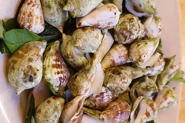 Những Món Ăn Ngon Từ Ốc Nhảy