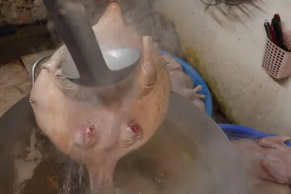 Tắm Vịt Làm Căng Và Khử Mùi Da