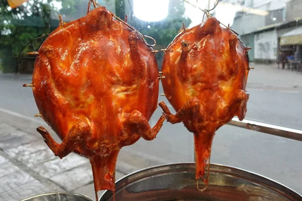 Vịt Tỳ Bà Là Gì?