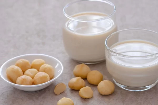 Hạt Macca Có Thể Dùng Làm Sữa Hạt Không