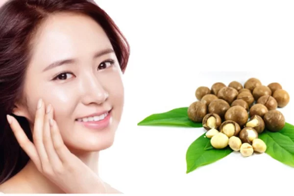 Hạt macca góp phần duy trì độ ẩm