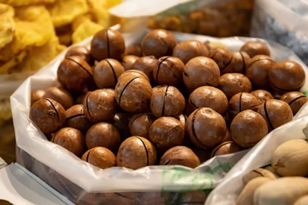 Hạt Macca Là Gì?