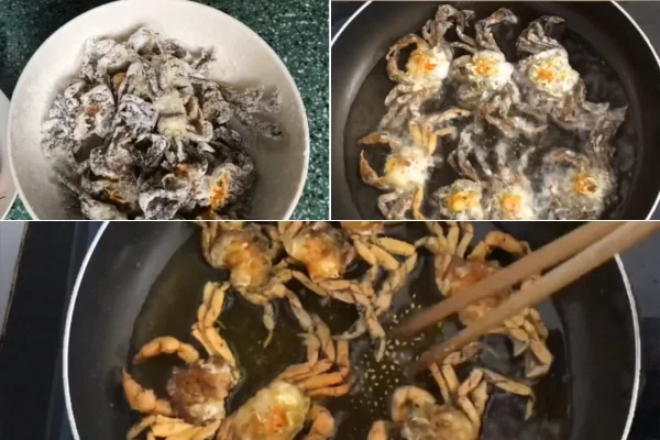 Áo Bột Và Rang Rạm