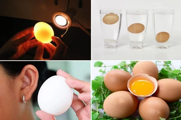 Cách Chọn Mua Được Trứng Ngon