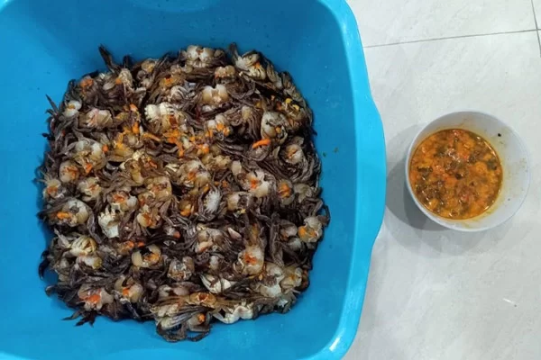 Cách Sơ Chế Rạm Không Bị Tanh?