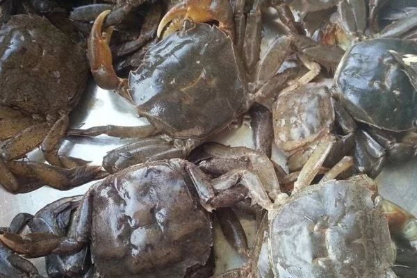 Giá Trị Dinh Dưỡng Của Rạm